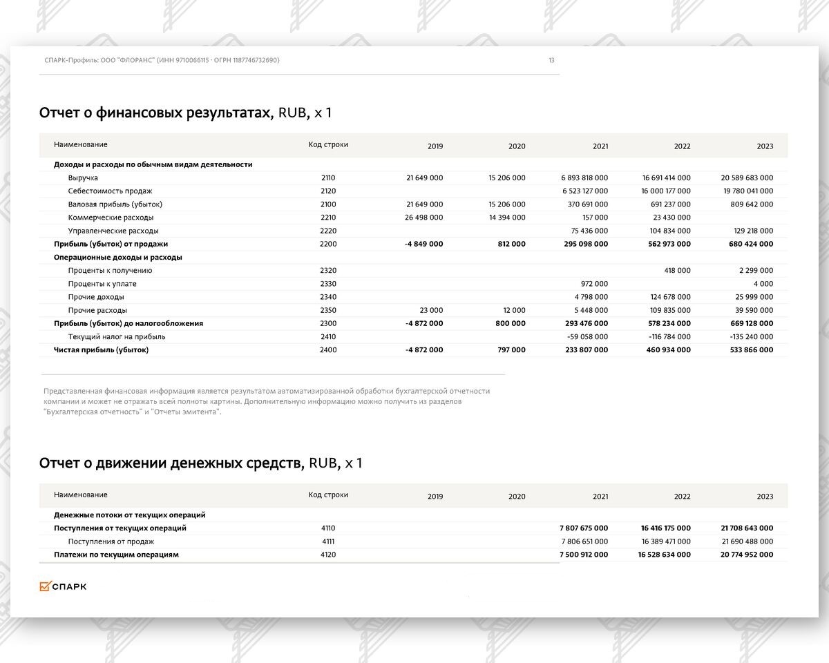 Выписка из СПАРК-Интерфакс (финансовые показатели) по компании ООО «ФЛОРАНС» (Страница 6 из 17)